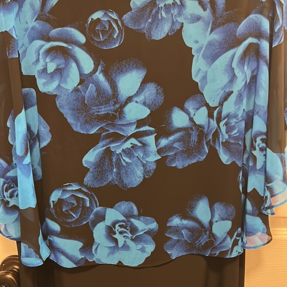 BEAUTIFUL BLUE ROSES DRESS 18W NWOT - Picture 3 of 4